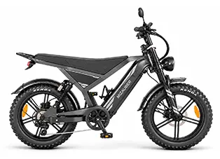yyX61.3